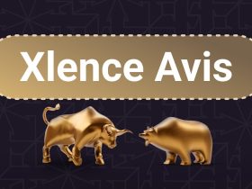 Xlence Avis: 7 choses à savoir avant d'utiliser Xlence 48 Xlence Avis: 7 choses à savoir avant d'utiliser Xlence 7