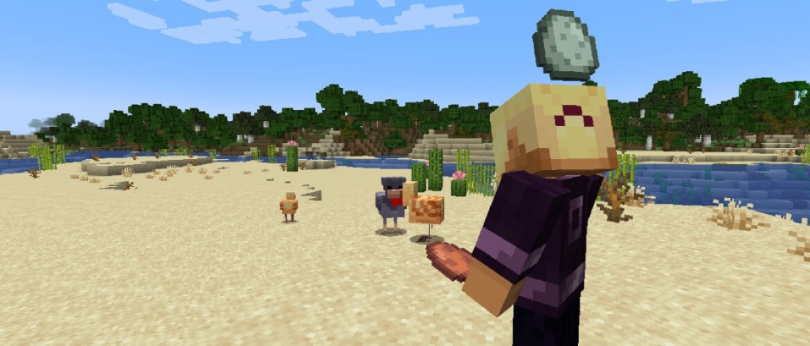Comment trouver toutes les variantes de poulet de Minecraft 5 Comment trouver toutes les variantes de poulet de Minecraft