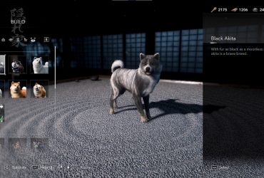 Comment débloquer les animaux dans Assassin's Creed Shadows 25 Comment débloquer les animaux dans Assassin's Creed Shadows