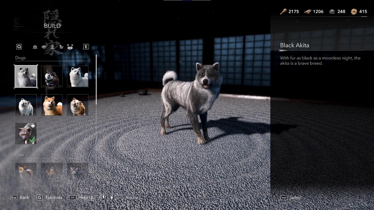 Comment débloquer les animaux dans Assassin's Creed Shadows 5 Comment débloquer les animaux dans Assassin's Creed Shadows