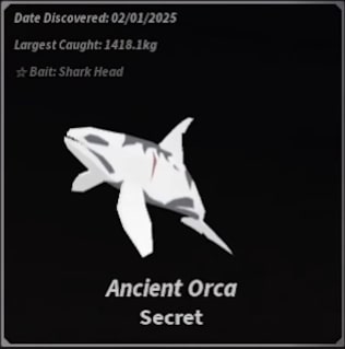 Guide de complément de l'événement de migration d'orque dans Fisch 6 Événement Orca Hunt