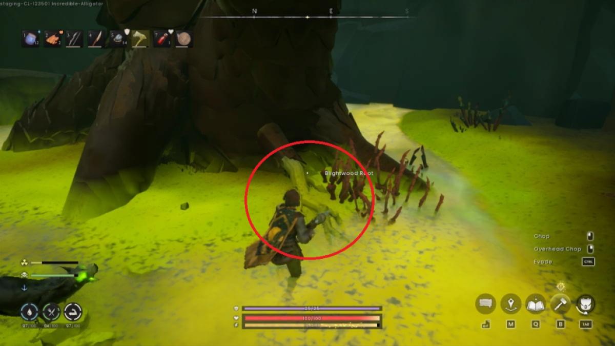 Déverrouiller le Cor de Défi dans RuneScape Dragonwilds : Un Guide Complet 7 Blightwood Root dans RuneScape : Dragonwilds