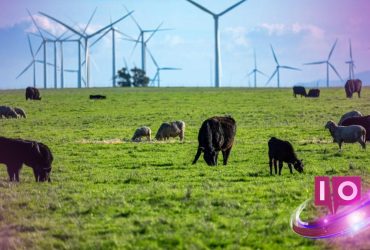 Le rêve des milliardaires de la technologie : de la Nouvelle Californie à un parc industriel 8 Le rêve des milliardaires de la technologie : de la Nouvelle Californie à un parc industriel