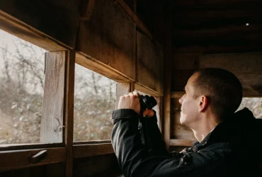 Comment l'IA ruine l'observation des oiseaux : risques pour la faune et les amateurs