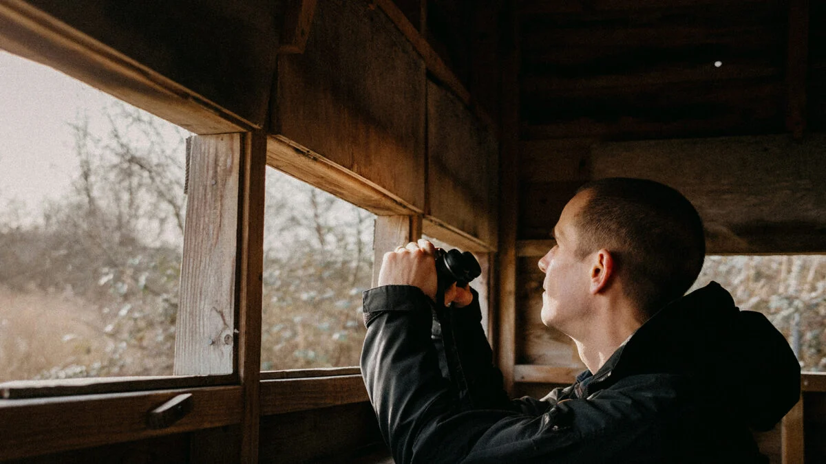 Comment l'IA ruine l'observation des oiseaux : risques pour la faune et les amateurs